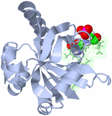 Image NMR Structure - model 1