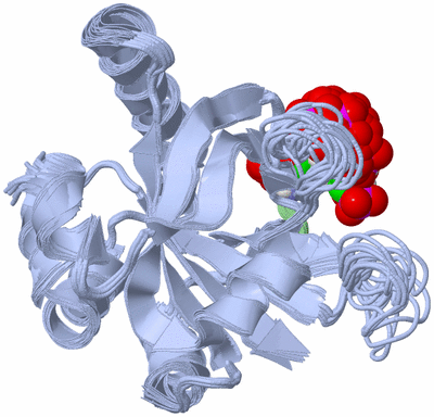 Image NMR Structure - all models