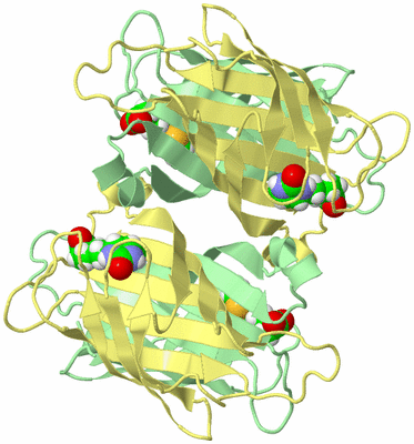 Image Biological Unit 1