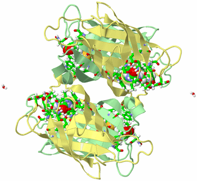 Image Biol. Unit 1 - sites