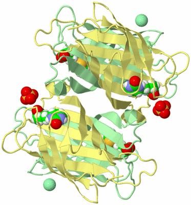 Image Biological Unit 1