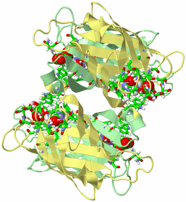 Image Biol. Unit 1 - sites