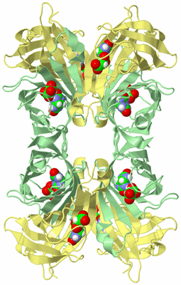 Image Biological Unit 2