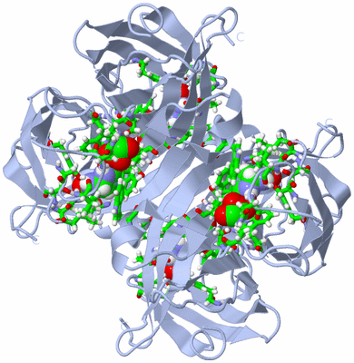 Image Biol. Unit 1 - sites