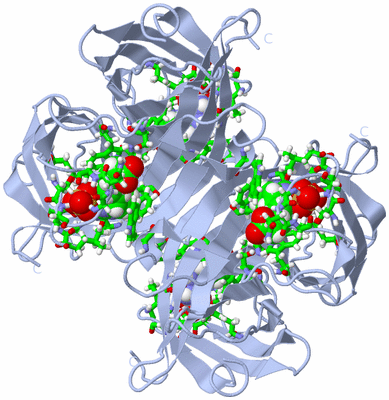 Image Biol. Unit 1 - sites