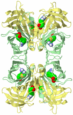 Image Biological Unit 2