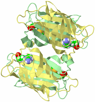 Image Biological Unit 1