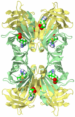 Image Biological Unit 2