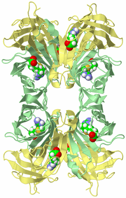 Image Biological Unit 2