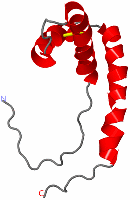 Image NMR Structure - model 1