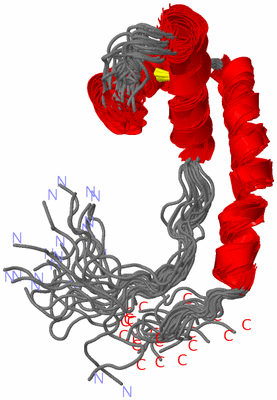 Image NMR Structure - all models