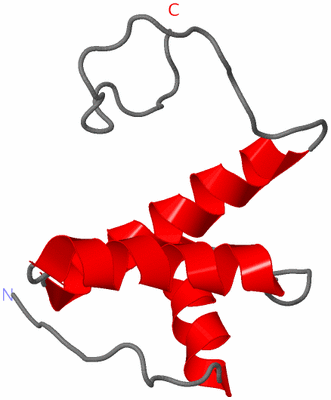 Image NMR Structure - model 1