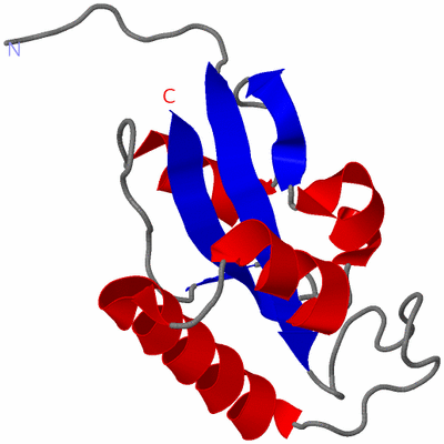 Image NMR Structure - model 1