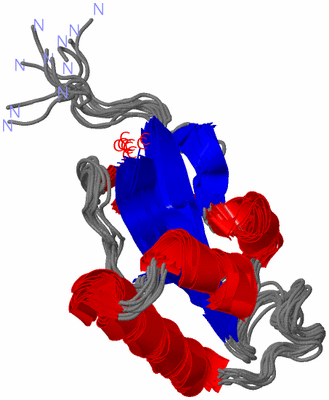 Image NMR Structure - all models