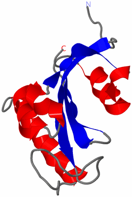 Image NMR Structure - model 1