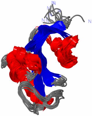 Image NMR Structure - all models