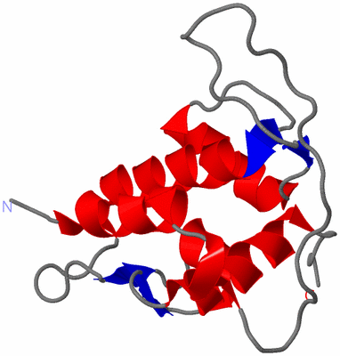 Image NMR Structure - model 1