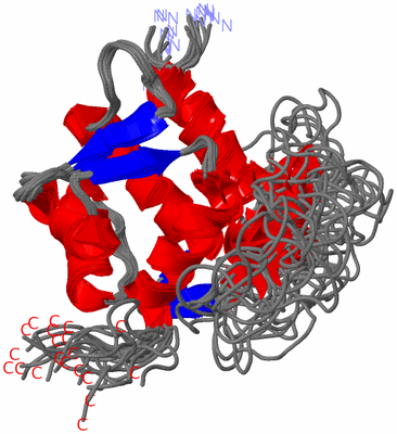 Image NMR Structure - all models