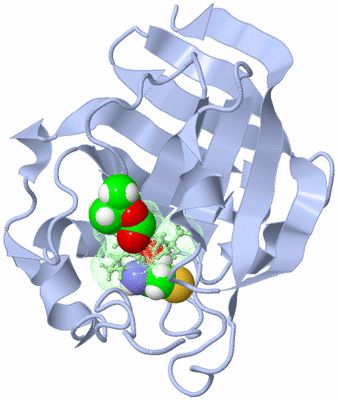 Image NMR Structure - model 1