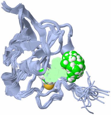 Image NMR Structure - all models