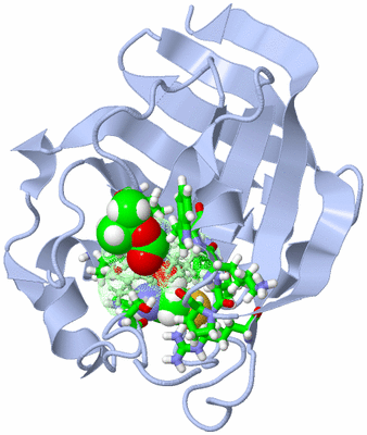 Image NMR Structure - model 1, sites