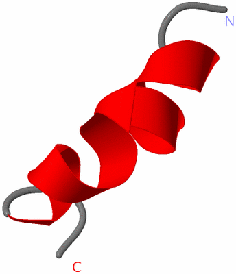 Image NMR Structure - model 1