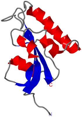 Image NMR Structure - model 1