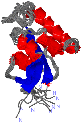 Image NMR Structure - all models