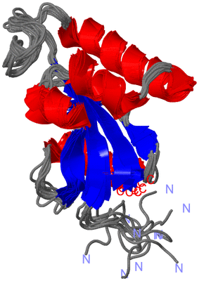 Image NMR Structure - all models