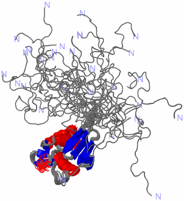 Image NMR Structure - all models