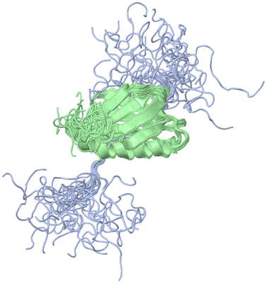 Image NMR Structure - all models