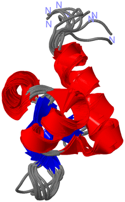 Image NMR Structure - all models