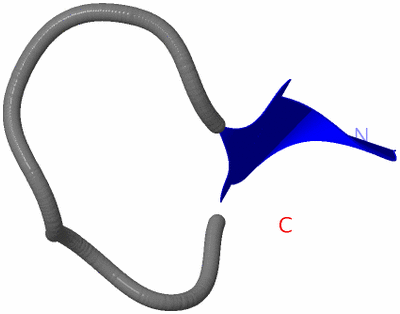 Image NMR Structure - model 1