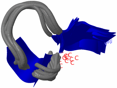 Image NMR Structure - all models