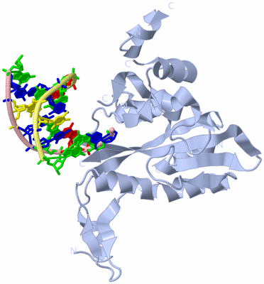 Image Biological Unit 1