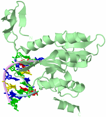 Image Biological Unit 2