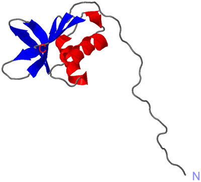 Image NMR Structure - model 1