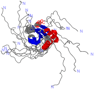 Image NMR Structure - all models