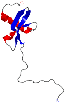 Image NMR Structure - model 1