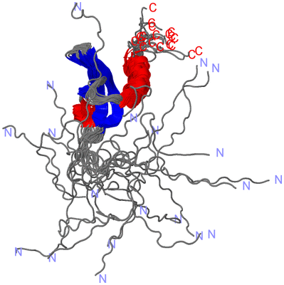 Image NMR Structure - all models