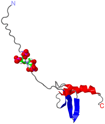 Image NMR Structure - model 1