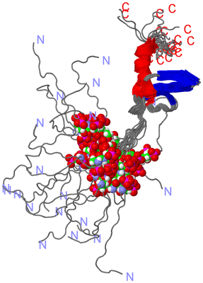 Image NMR Structure - all models