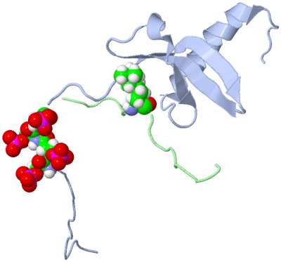 Image NMR Structure - model 1