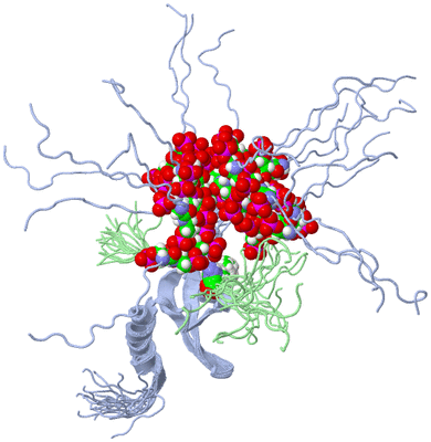 Image NMR Structure - all models