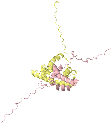 Image NMR Structure - model 1