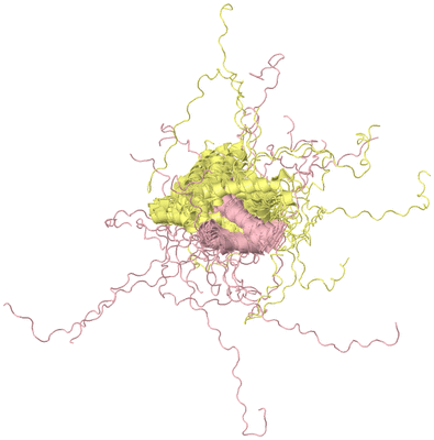 Image NMR Structure - all models