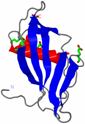 Image Asym. Unit - sites