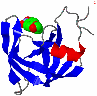 Image Asymmetric Unit