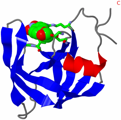 Image Asym. Unit - sites