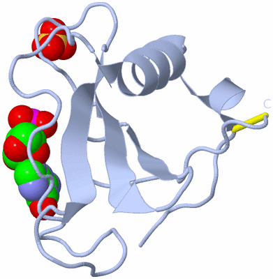 Image Biological Unit 1